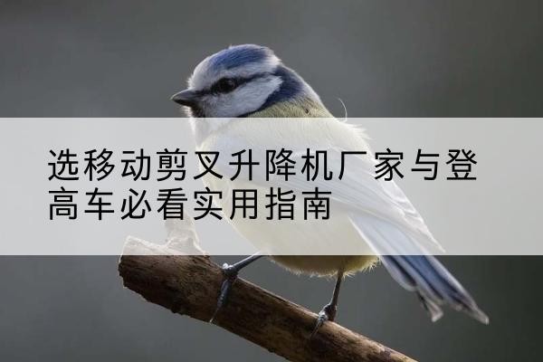 龙湖电动升降机厂家-选移动剪叉升降机厂家与登高车必看实用指南