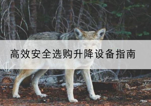 龙湖升降货梯厂家推荐-*安全选购升降设备指南