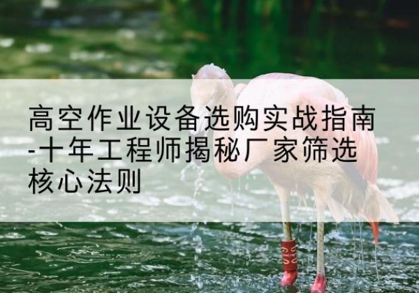 龙湖剪叉式升降机厂家-高空作业设备选购实战指南-十年工程师揭秘厂家筛选核心法则