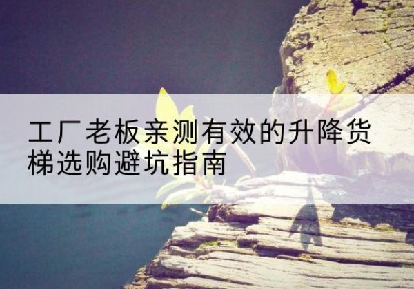 龙湖升降货梯怎么选-工厂老板亲测有效的升降货梯选购避坑指南